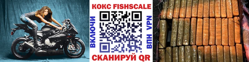 Кокаин Fish Scale  где найти наркотики  Пушкино 