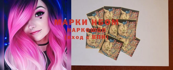 apvp Надым