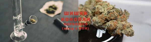 дмт Нея