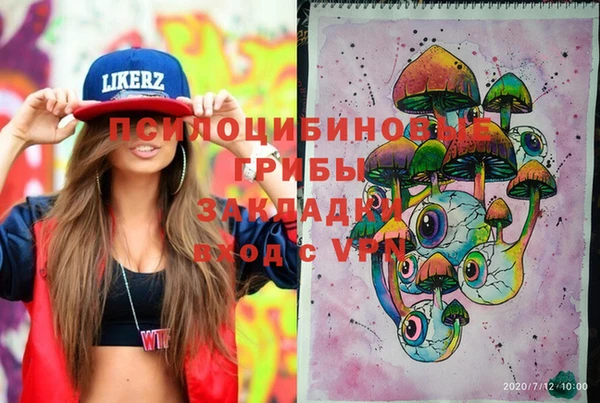 дмт Нея