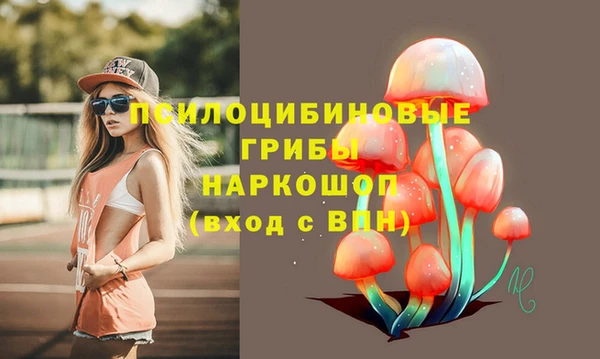 apvp Надым