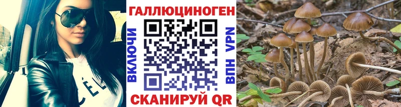купить закладку  Пушкино  Псилоцибиновые грибы Psilocybine cubensis 